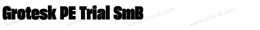 Grotesk PE Trial SmB字体转换